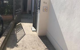 Papere e Tulipani